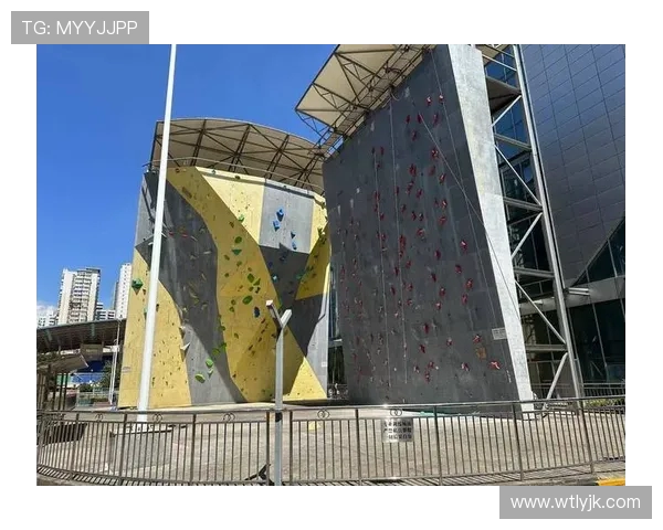 南京攀岩队技术分析与训练方法探讨攀岩运动的未来发展方向