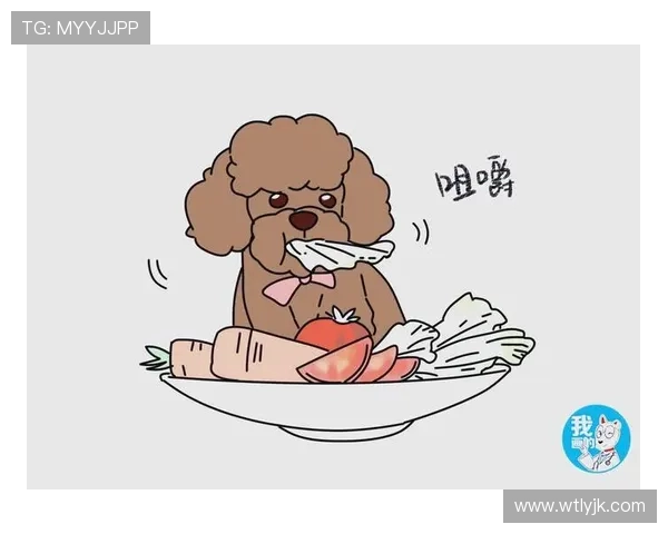 吴敏独家分享篮球心得与技巧助你提升球技的全面指南