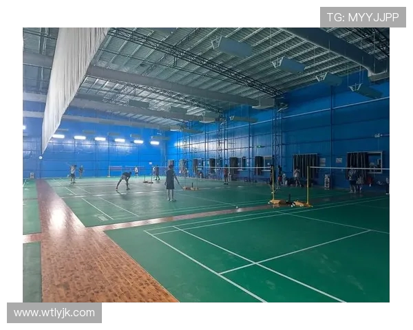 广州羽毛球队个人能力提升之路探讨与分析