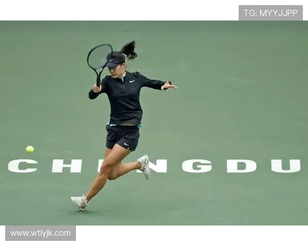 成都网球队区域防守策略揭秘:网球深度分析与战术探讨