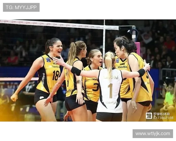 杭州排球队实力引发热议球迷对球队表现的不同看法与争论