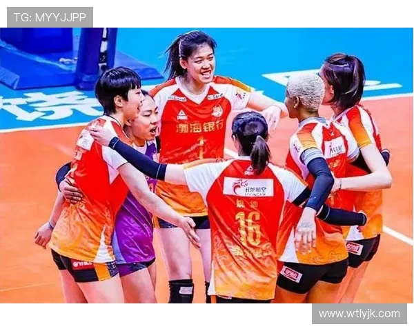 武汉排球队强势崛起最新排球个人能力前十榜单揭晓