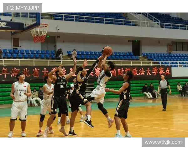 武汉篮球队强势崛起荣登全国篮球状态排行榜第二名