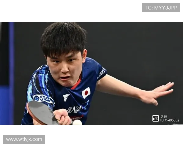 张本智和与波尔精彩对决全程录像回放分析与精彩瞬间集锦