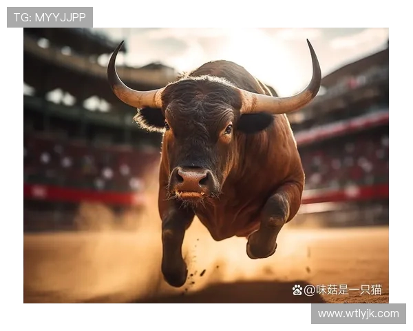 DOTA2耐力排行榜更新WE战队荣登第六名展现强大实力与韧性